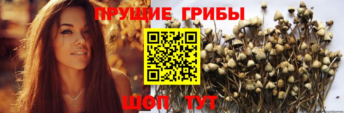 Псилоцибиновые грибы MAGIC MUSHROOMS Орехово-Зуево