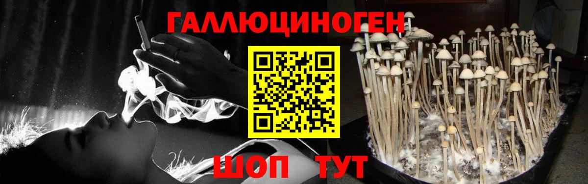 Галлюциногенные грибы ЛСД  Вход с VPN  Орехово-Зуево  Галлюциногенные грибы Cubensis 